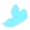 Phantom Design